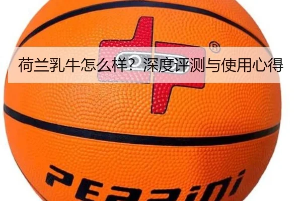 荷兰乳牛怎么样？深度评测与使用心得